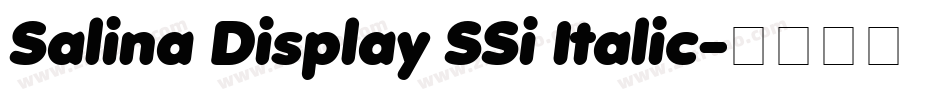 Salina Display SSi Italic字体转换